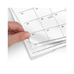 2025 Calendars|AT-A-GLANCE 2025 17.75