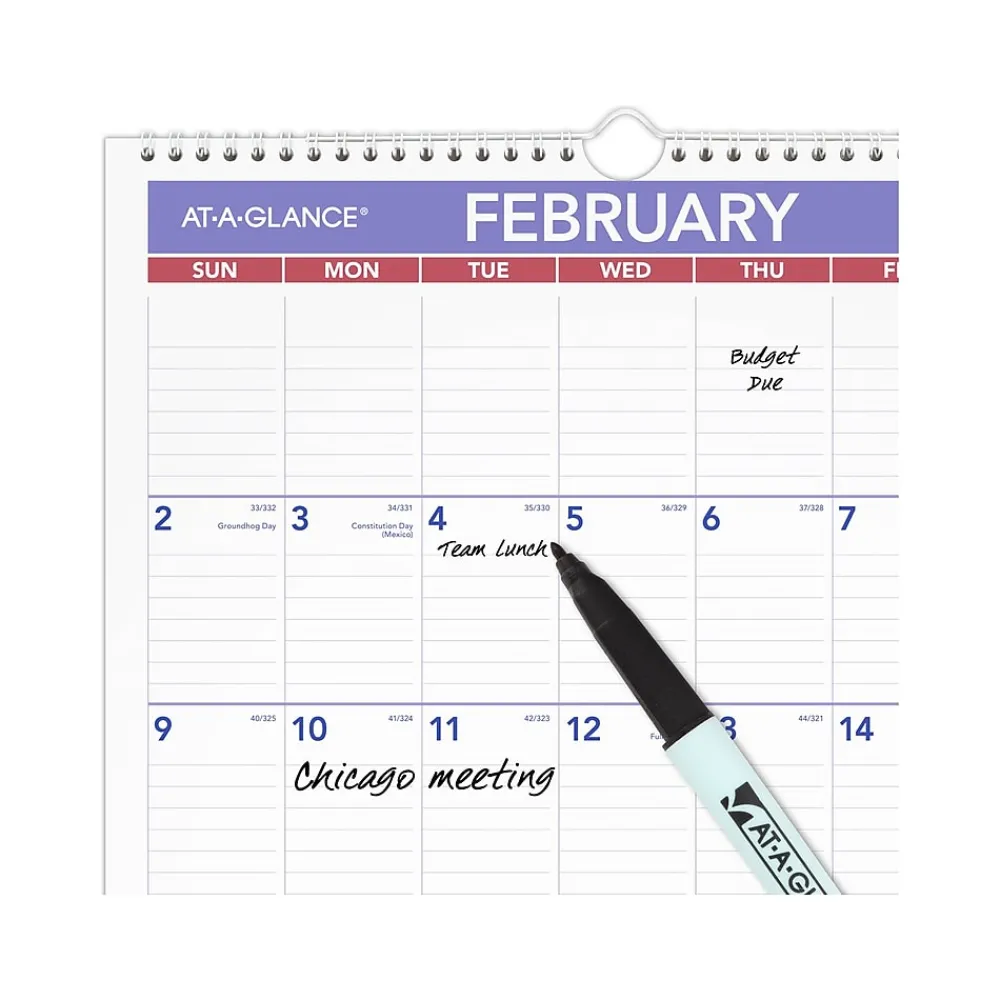 2025 Calendars|AT-A-GLANCE 2025 17" x 12" Monthly Wet-Erase Wall Calendar (PMLM02-28-25)