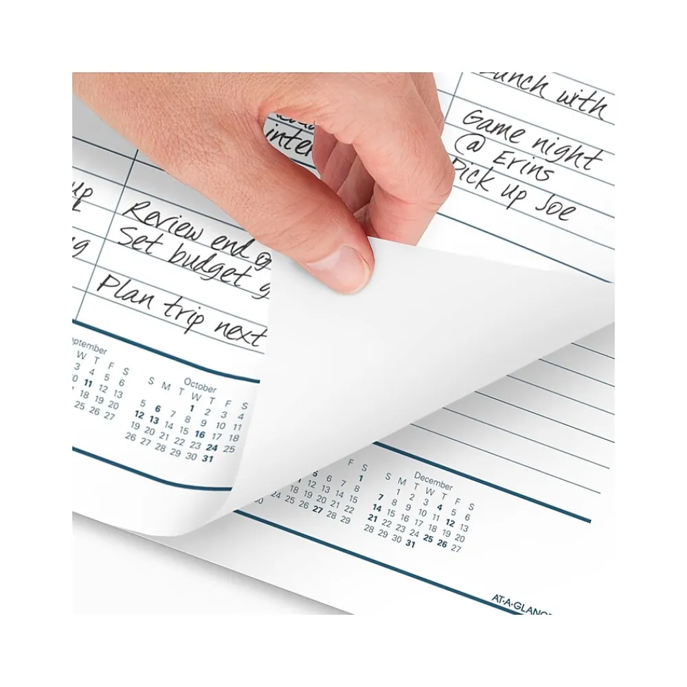 2025 Calendars|AT-A-GLANCE 2025 Success 21.75" x 17" Monthly Desk Pad Calendar, White/Blue (ST24-00-25)