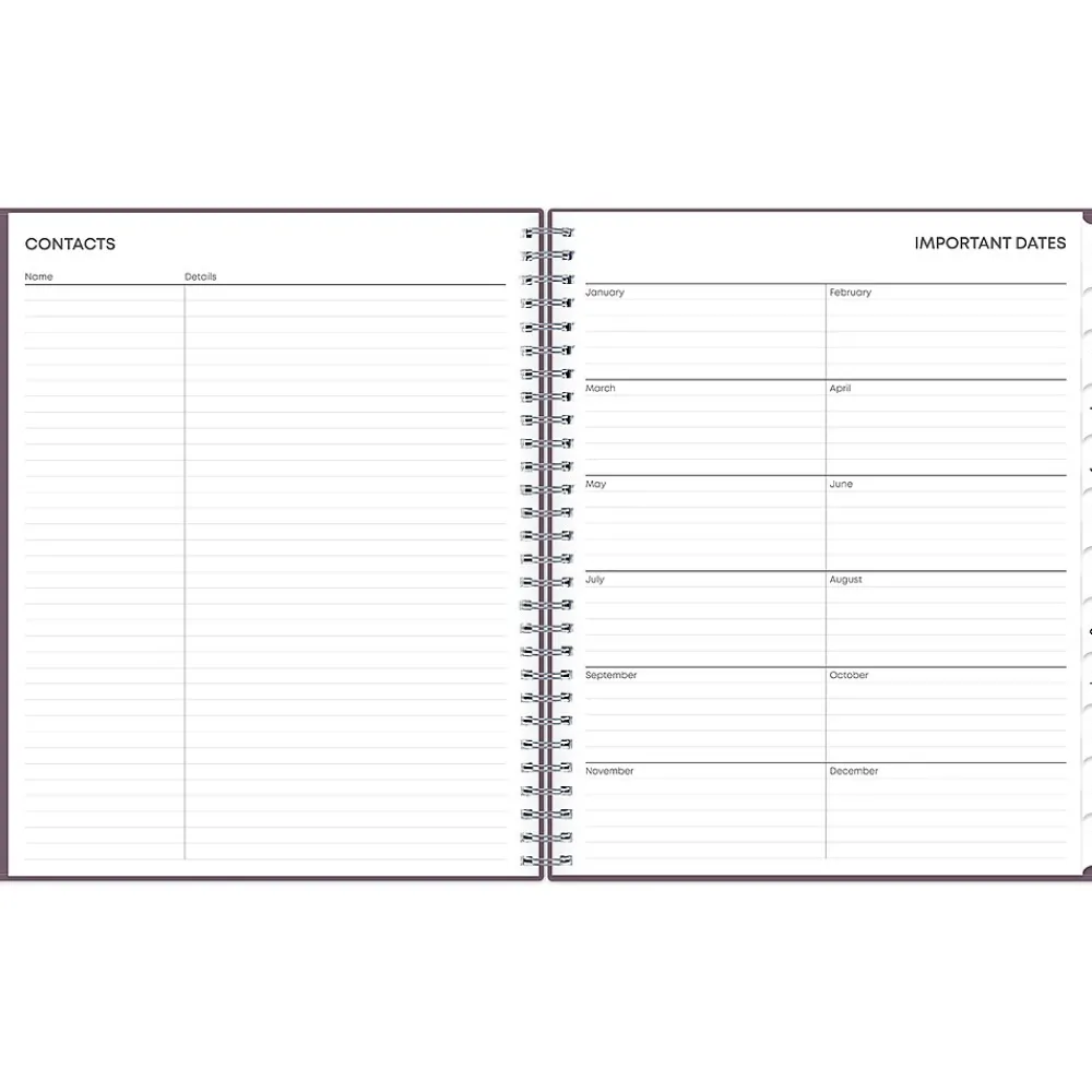 2025 Planners|Blue Sky 2025 8" x 10" Monthly Planner, Plastic Cover, Purple (150780)