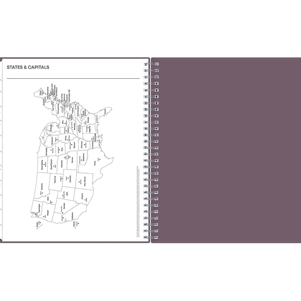 2025 Planners|Blue Sky 2025 8" x 10" Monthly Planner, Plastic Cover, Purple (150780)