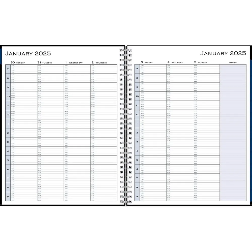 2025 Planners|Blue Sky 2025 8.5" x 11" Weekly & Monthly Appointment Book, Plastic Cover, Black (150849)