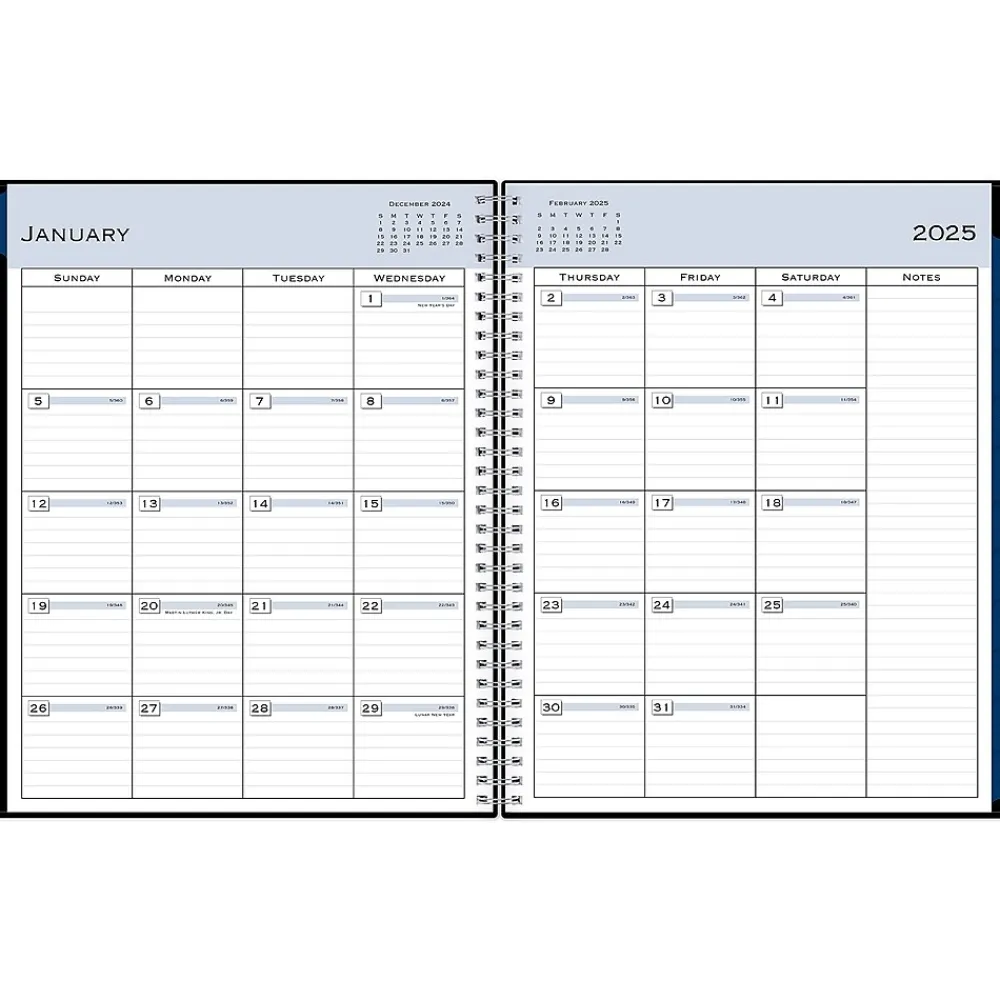 2025 Planners|Blue Sky 2025 8.5" x 11" Weekly & Monthly Appointment Book, Plastic Cover, Black (150849)