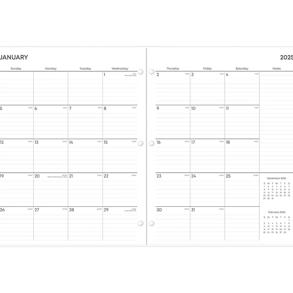 2025 Planners|Blue Sky 2025 Amalia 8.5" x 11" Monthly Planner, Plastic Cover, Multicolor (152534)