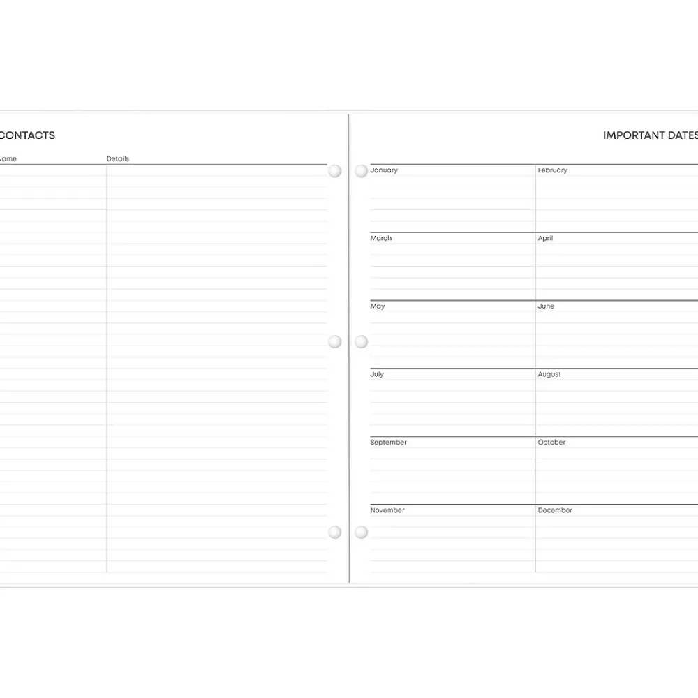 2025 Planners|Blue Sky 2025 Amalia 8.5" x 11" Monthly Planner, Plastic Cover, Multicolor (152534)