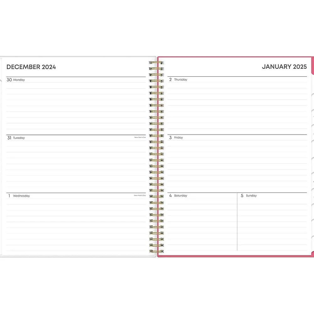 2025 Planners|Blue Sky 2025 Amalia 8.5" x 11" Weekly & Monthly Planner, Plastic Cover, Multicolor (148767-25)