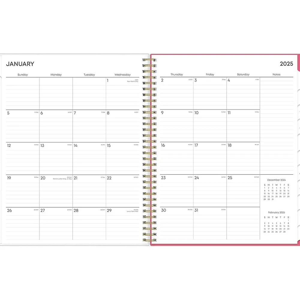 2025 Planners|Blue Sky 2025 Amalia 8.5" x 11" Weekly & Monthly Planner, Plastic Cover, Multicolor (148767-25)