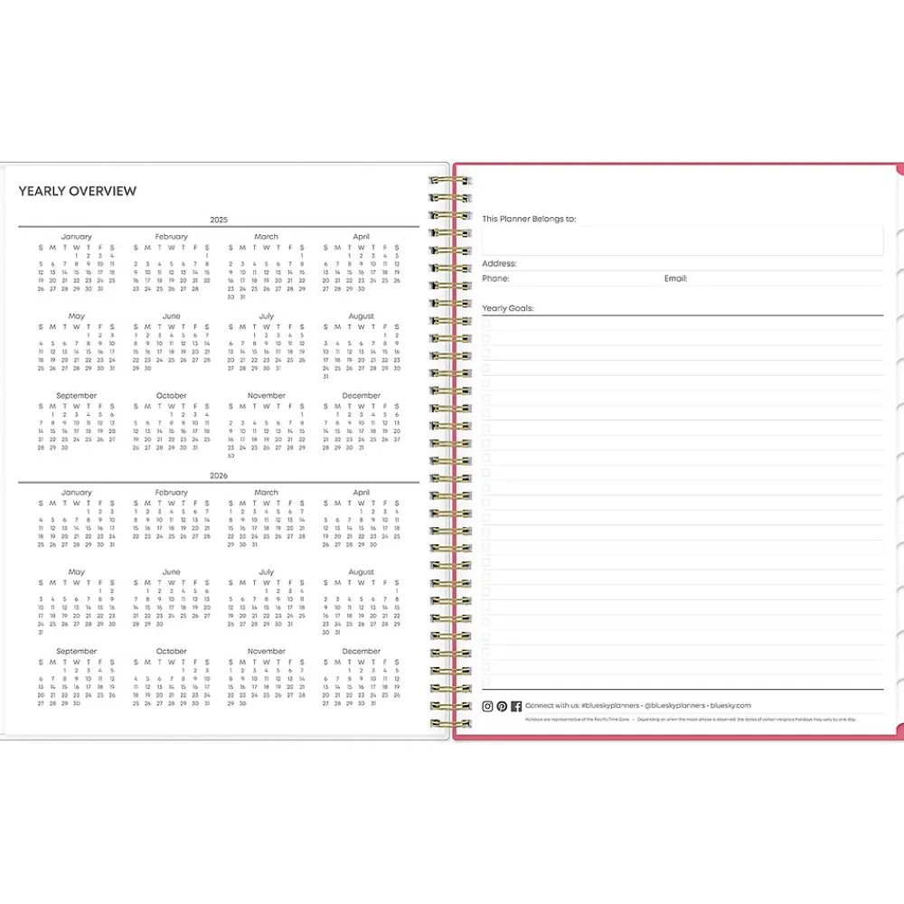 2025 Planners|Blue Sky 2025 Amalia 8.5" x 11" Weekly & Monthly Planner, Plastic Cover, Multicolor (148767-25)