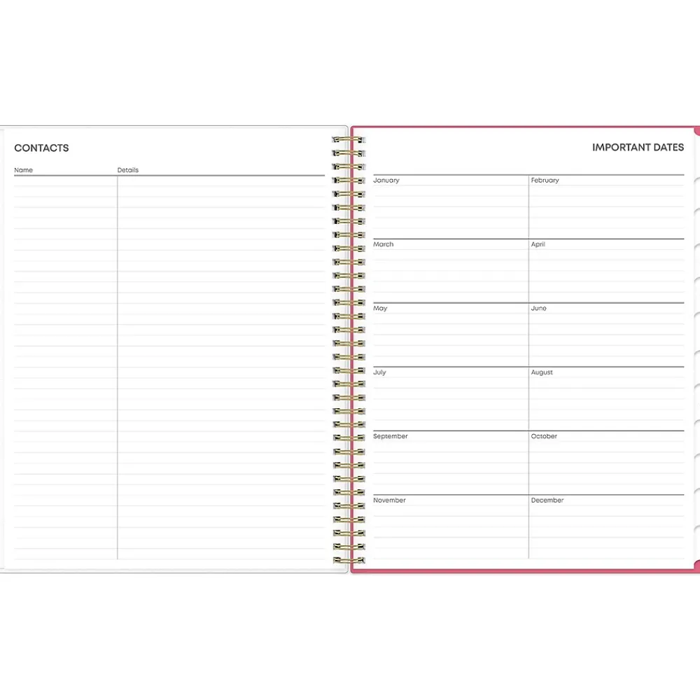 2025 Planners|Blue Sky 2025 Amalia 8.5" x 11" Weekly & Monthly Planner, Plastic Cover, Multicolor (148767-25)