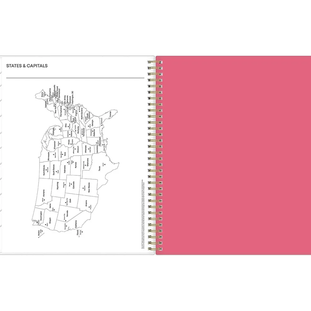 2025 Planners|Blue Sky 2025 Amalia 8.5" x 11" Weekly & Monthly Planner, Plastic Cover, Multicolor (148767-25)