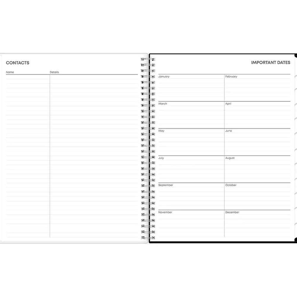 2025 Planners|Blue Sky 2025 Analeis 8.5" x 11" Weekly & Monthly Planner, Plastic Cover, White/Black (100001-25)