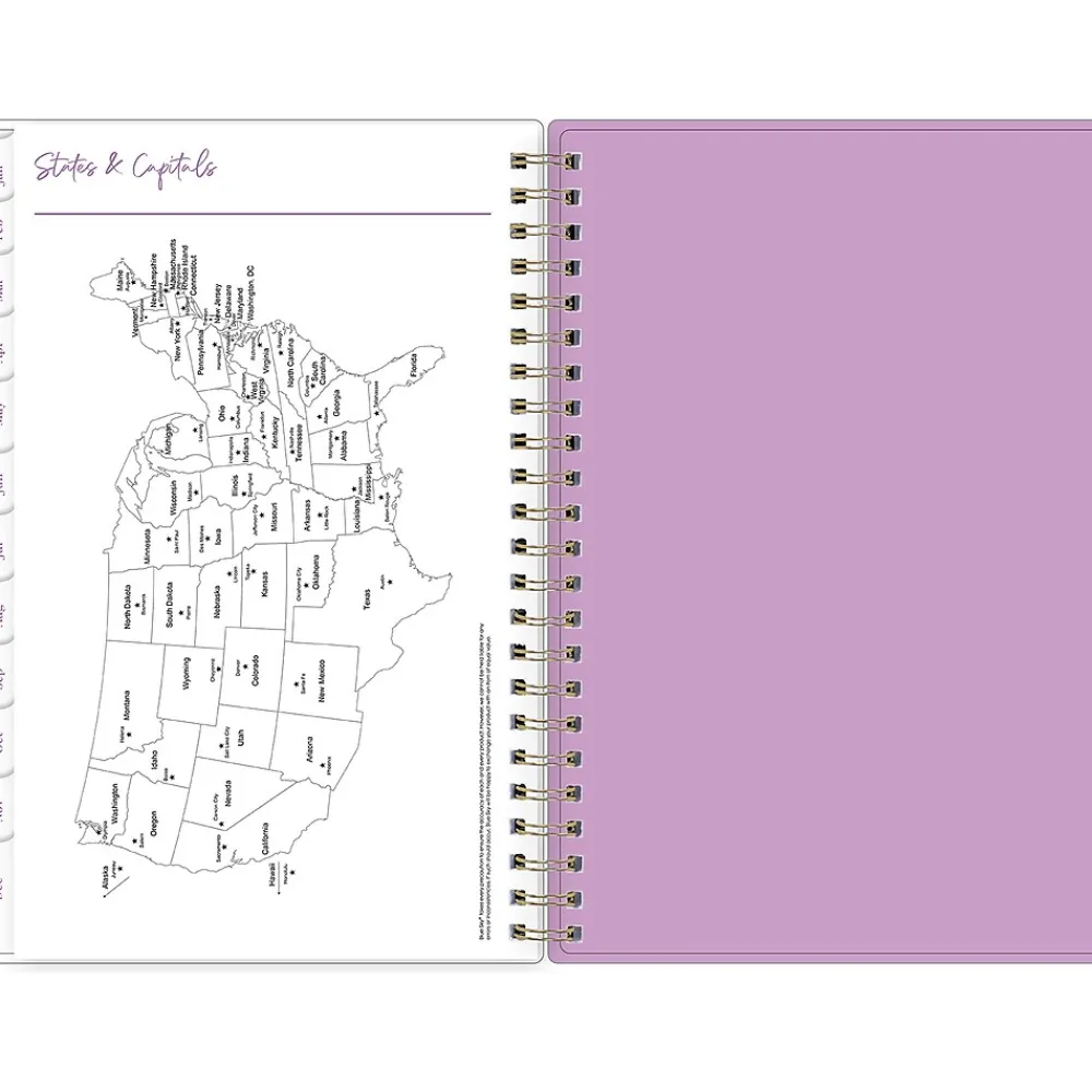 2025 Planners|Blue Sky 2025 Britt Mills Ella Bloom 5" x 8" Weekly & Monthly Planner, Plastic Cover, Multicolor (152471)
