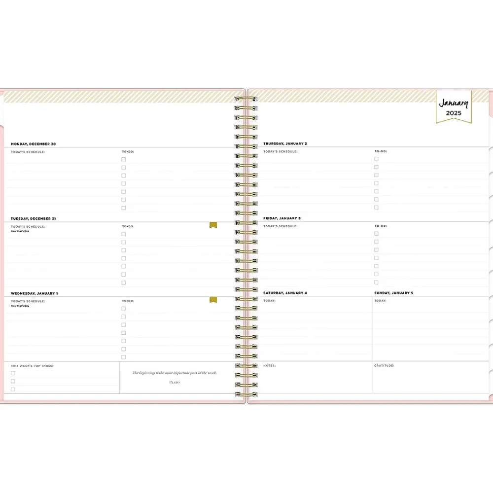 2025 Planners|Blue Sky 2025 Day Designer 8.5" x 11" Weekly Planner, Plastic Cover, Blush (148146)