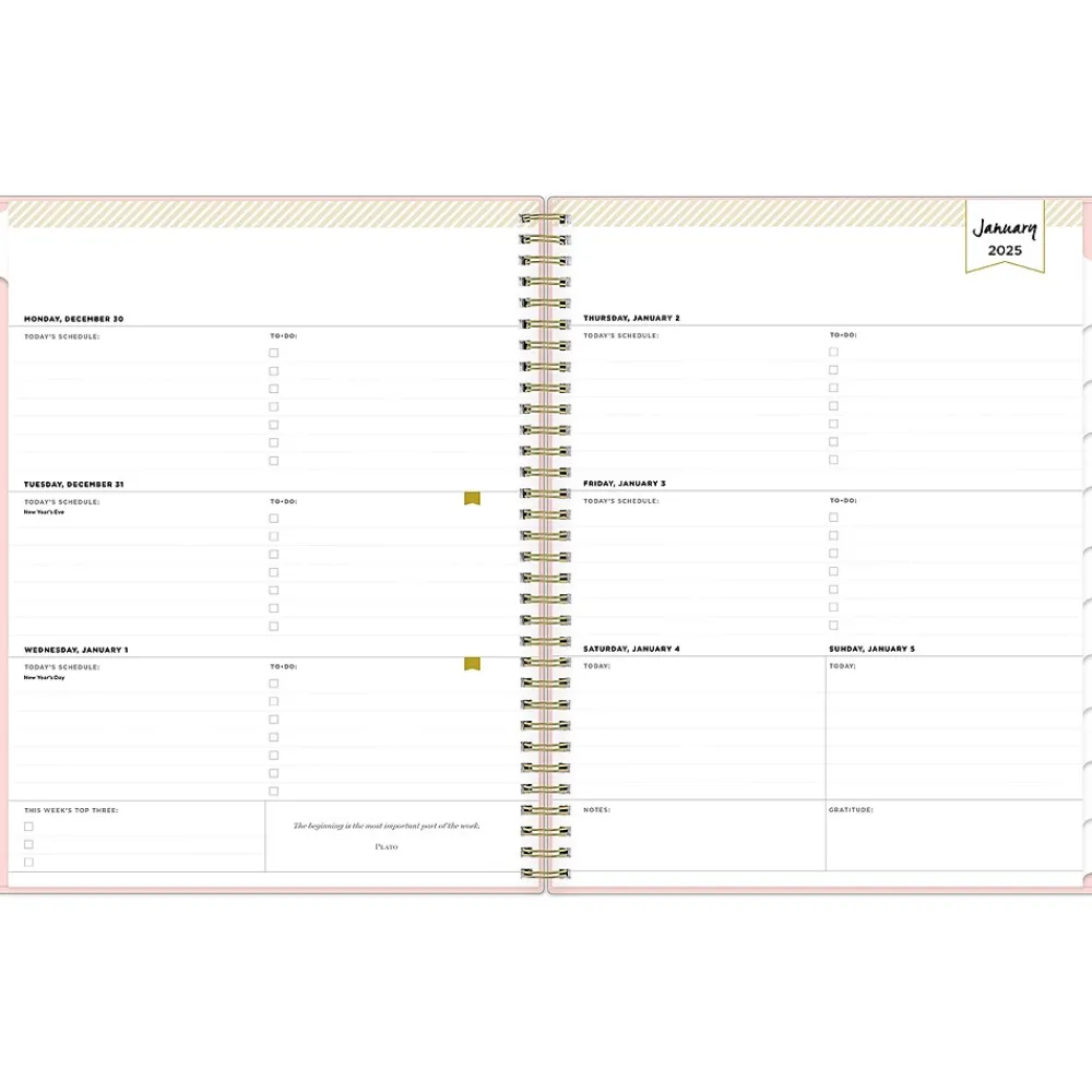 2025 Planners|Blue Sky 2025 Day Designer 8.5" x 11" Weekly Planner, Plastic Cover, Blush (148146)