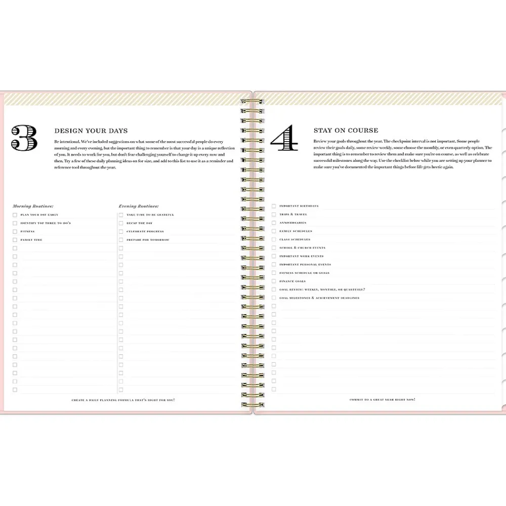 2025 Planners|Blue Sky 2025 Day Designer 8.5" x 11" Weekly Planner, Plastic Cover, Blush (148146)