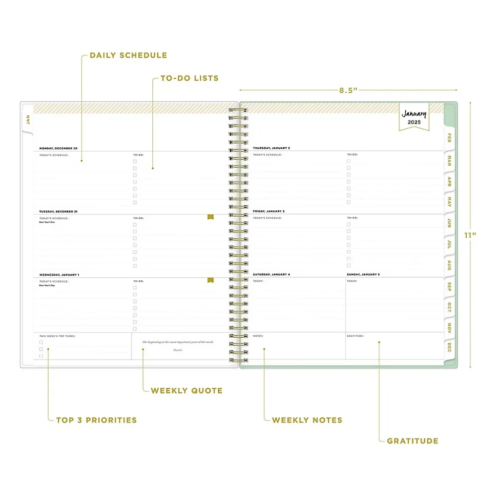 2025 Planners|Blue Sky 2025 Day Designer Arcadia 8.5" x 11" Weekly Planner, Plastic Cover, Multicolor (148142)