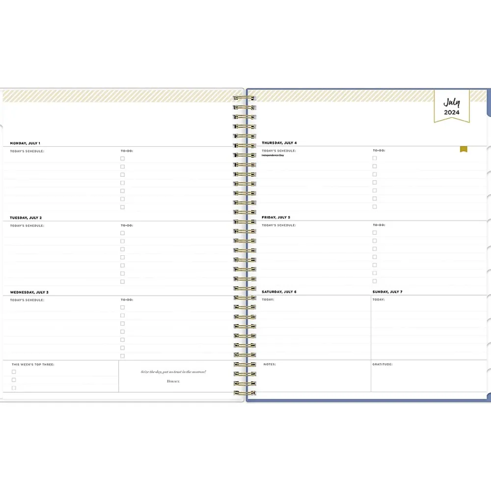 Academic Planners|Blue Sky 2024-2025 Day Designer Flutter 8.5" x 11" Academic Weekly & Monthly Planner, Plastic Cover, Multicolor (136685-A25)