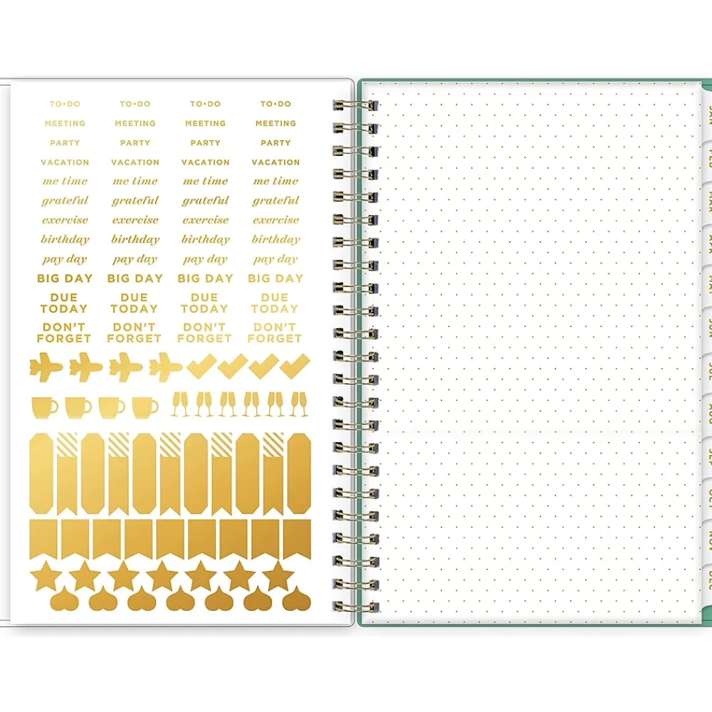 2025 Planners|Blue Sky 2025 Day Designer Peyton White 5" x 8" Weekly & Monthly Planner, Plastic Cover, Multicolor (103619-25)