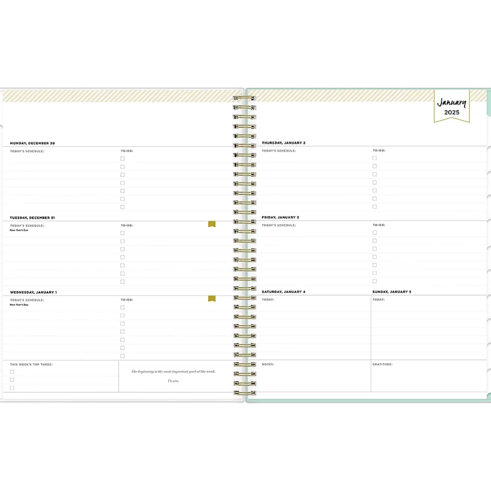 2025 Planners|Blue Sky 2025 Day Designer Secret Garden Mint Green 8.5" x 11" Weekly & Monthly Planner, Plastic Cover, Multicolor