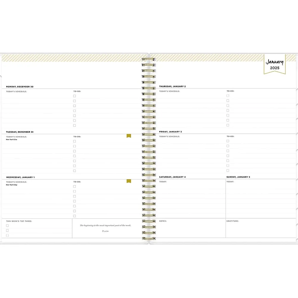 2025 Planners|Blue Sky 2025 Day Designer Tile 8.5" x 11" Weekly & Monthly Planner, Plastic Cover, Blue/White (101411-25)
