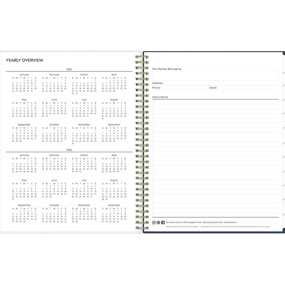 2025 Planners|Blue Sky 2025 Dellania 8.5" x 11" Weekly & Monthly Planner, Plastic Cover, Multicolor (148212)