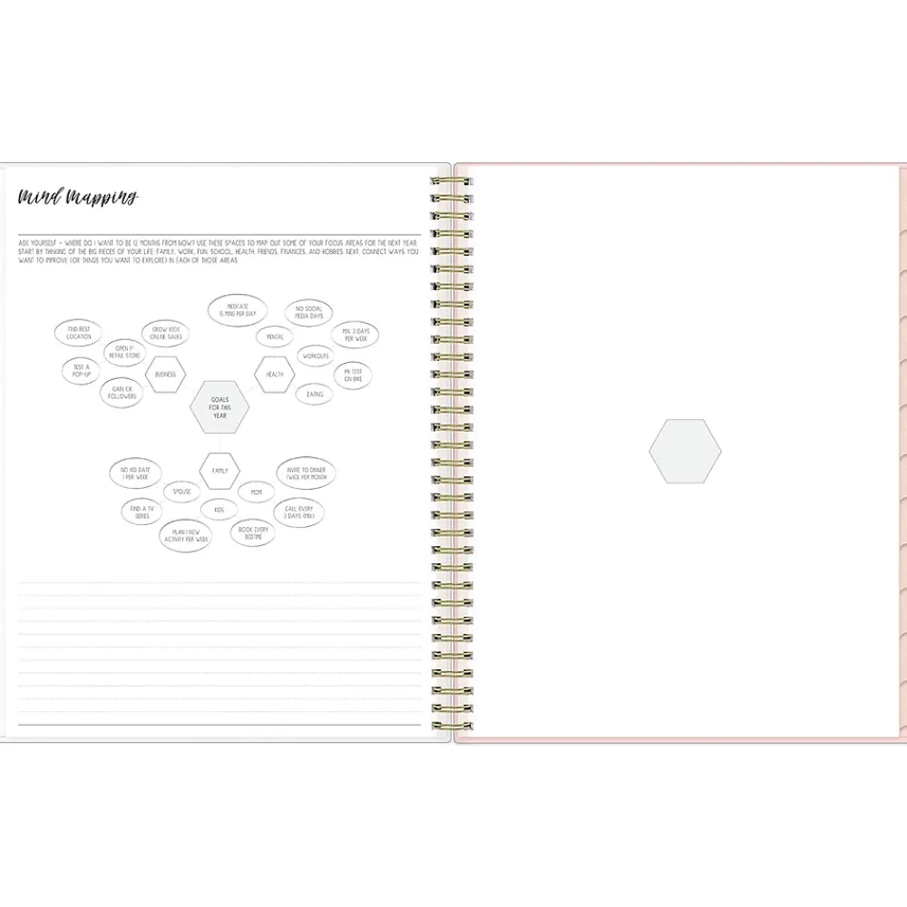 Academic Planners|Blue Sky 2024-2025 Ivory Paper Co Sammi 8.5" x 11" Academic Weekly & Monthly Planner, Plastic Cover, Multicolor (146874)