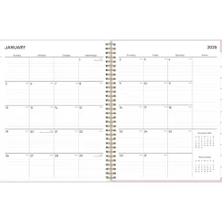 2025 Planners|Blue Sky 2025 Wednesday Stripe 8.5