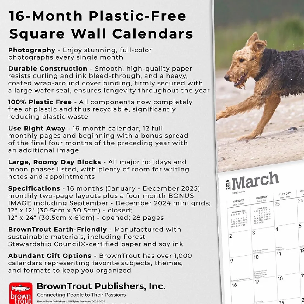 2025 Calendars|BrownTrout 2025 Airedale Terriers 12" x 12" Monthly Wall Calendar (9781975476472)