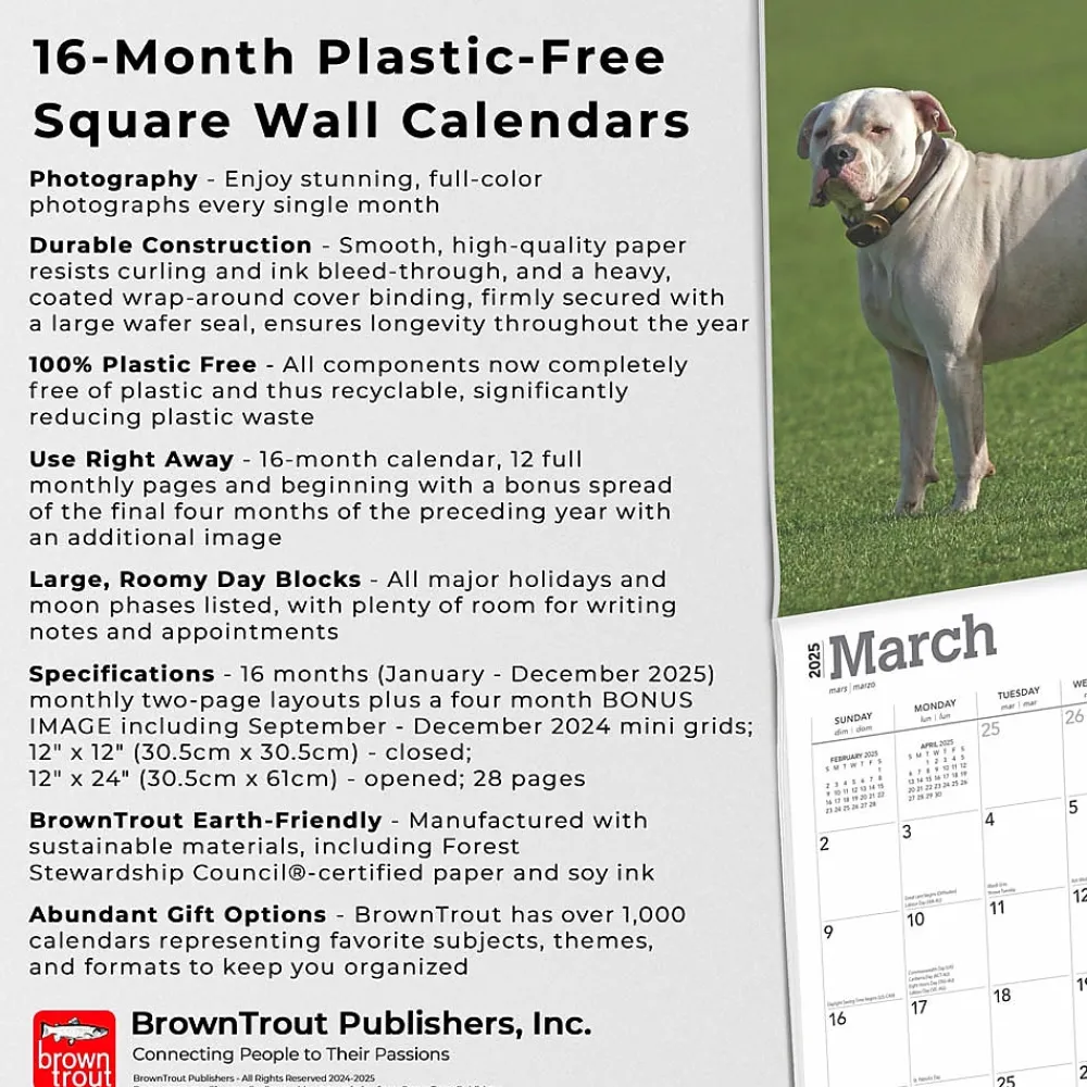 2025 Calendars|BrownTrout 2025 American Bulldogs 12" x 12" Monthly Square Wall Calendar (9781975478223)
