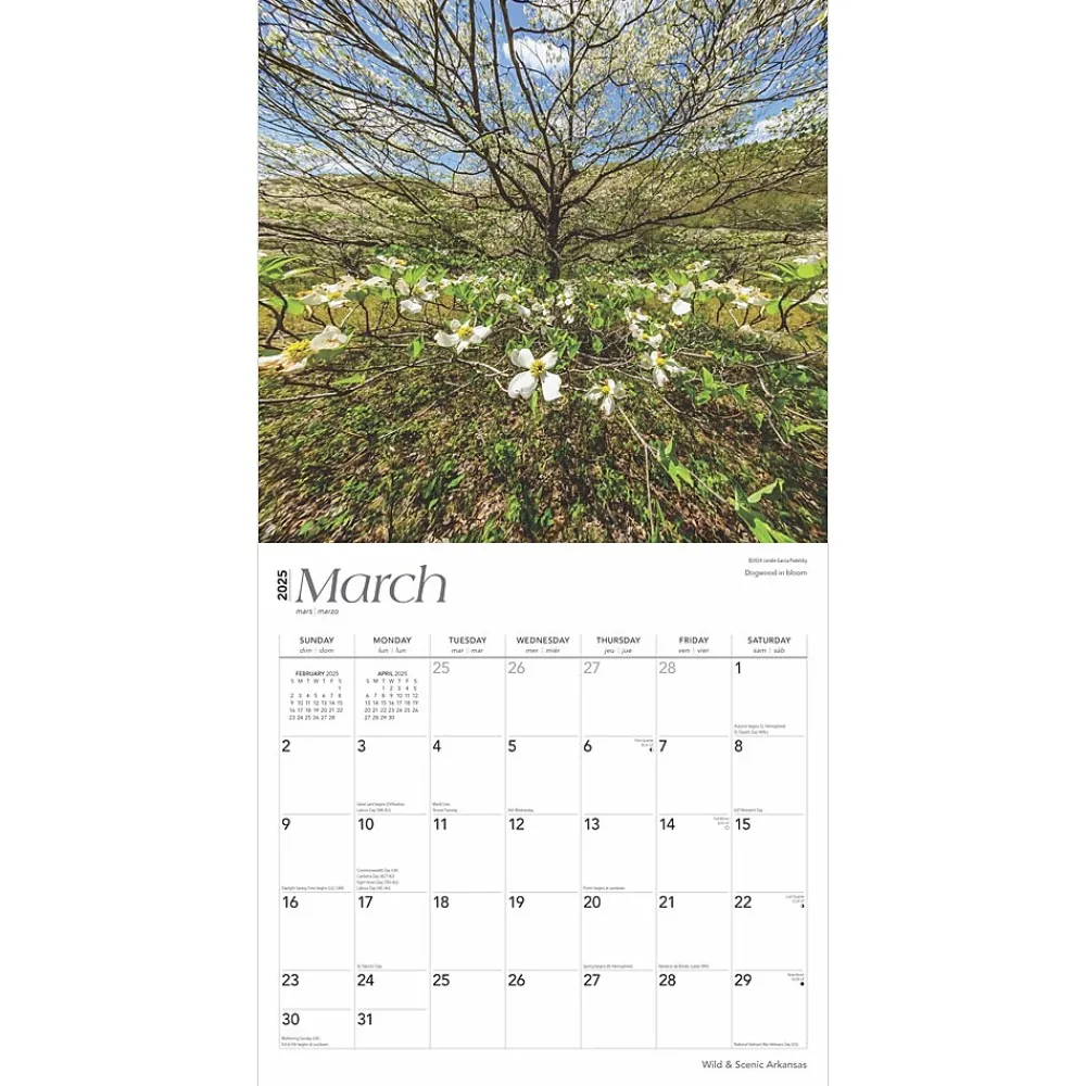 2025 Calendars|BrownTrout 2025 Arkansas Wild & Scenic 12" x 12" Monthly Square Wall Calendar (9781975474478)