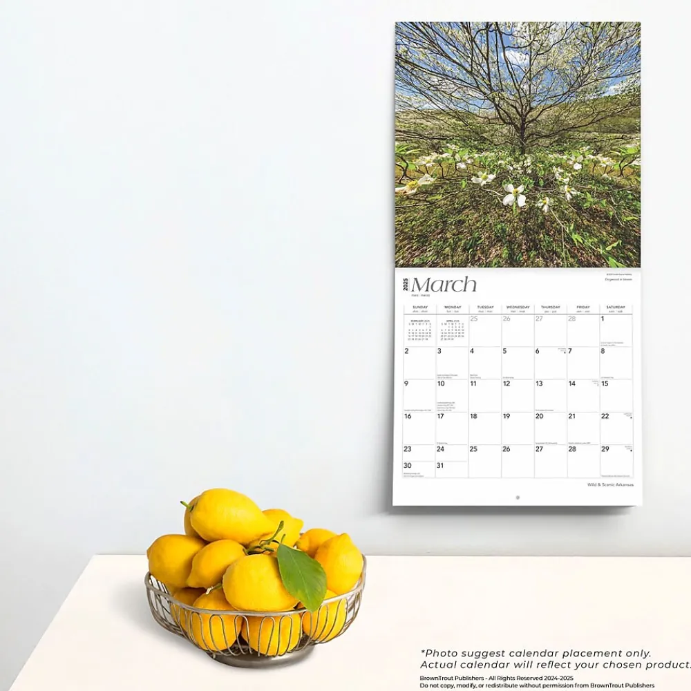 2025 Calendars|BrownTrout 2025 Arkansas Wild & Scenic 12" x 12" Monthly Square Wall Calendar (9781975474478)