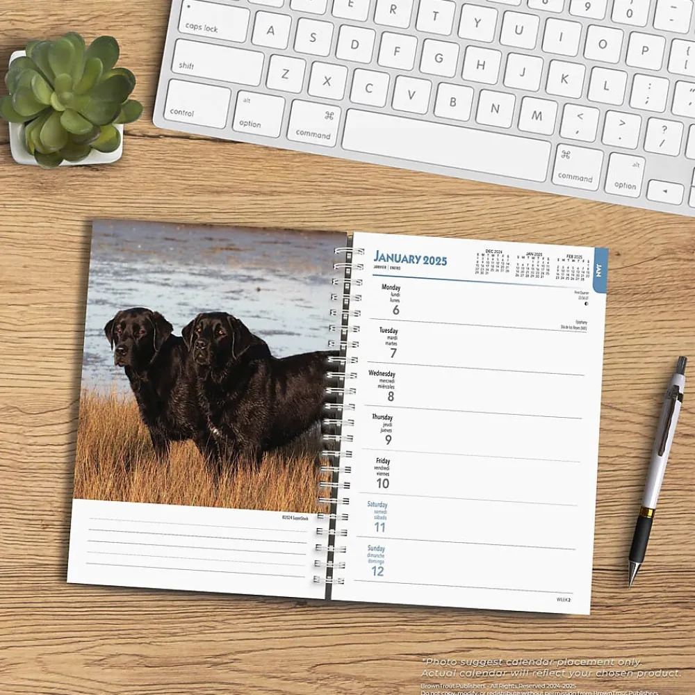 2025 Planners|BrownTrout 2025 Black Labrador Retrievers 6" x 7.75" Weekly Engagement Planner, Paper Cover, Multicolored (9781975473235)