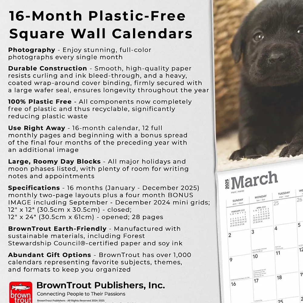 2025 Calendars|BrownTrout 2025 Black Labrador Retriever Puppies 12" x 12" Monthly Wall Calendar (9781975477318)