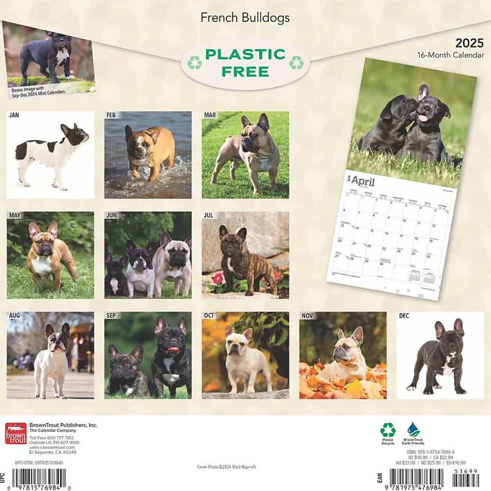 2025 Calendars|BrownTrout 2025 French Bulldogs 12" x 12" Monthly Square Wall Calendar (9781975476984)