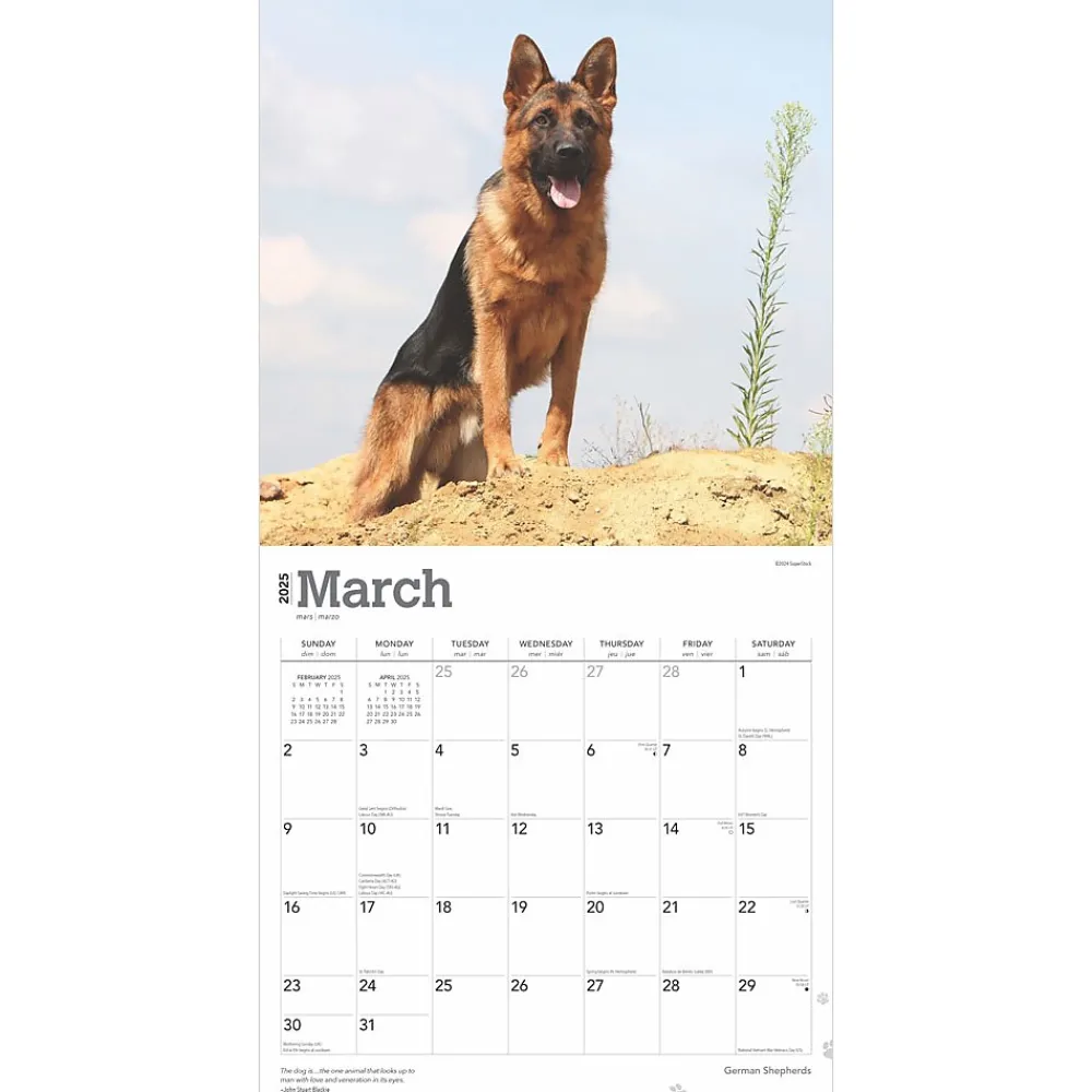 2025 Calendars|BrownTrout 2025 German Shepherds 12" x 12" Monthly Square Wall Calendar (9781975477011)