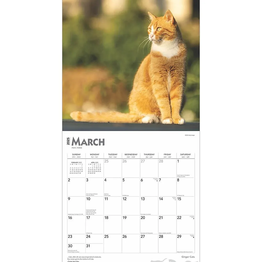 2025 Calendars|BrownTrout 2025 Ginger Cats 12" x 12" Monthly Wall Calendar (9781975477035)
