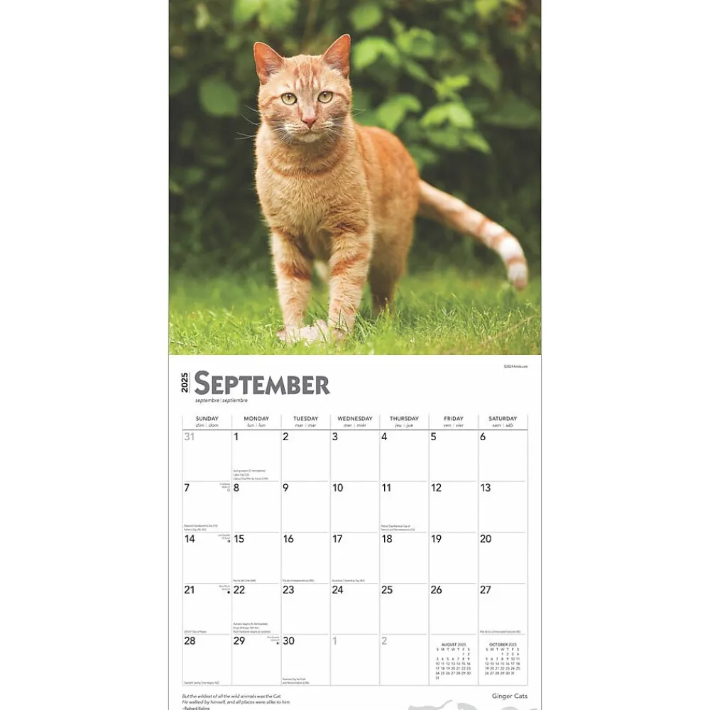 2025 Calendars|BrownTrout 2025 Ginger Cats 12" x 12" Monthly Wall Calendar (9781975477035)