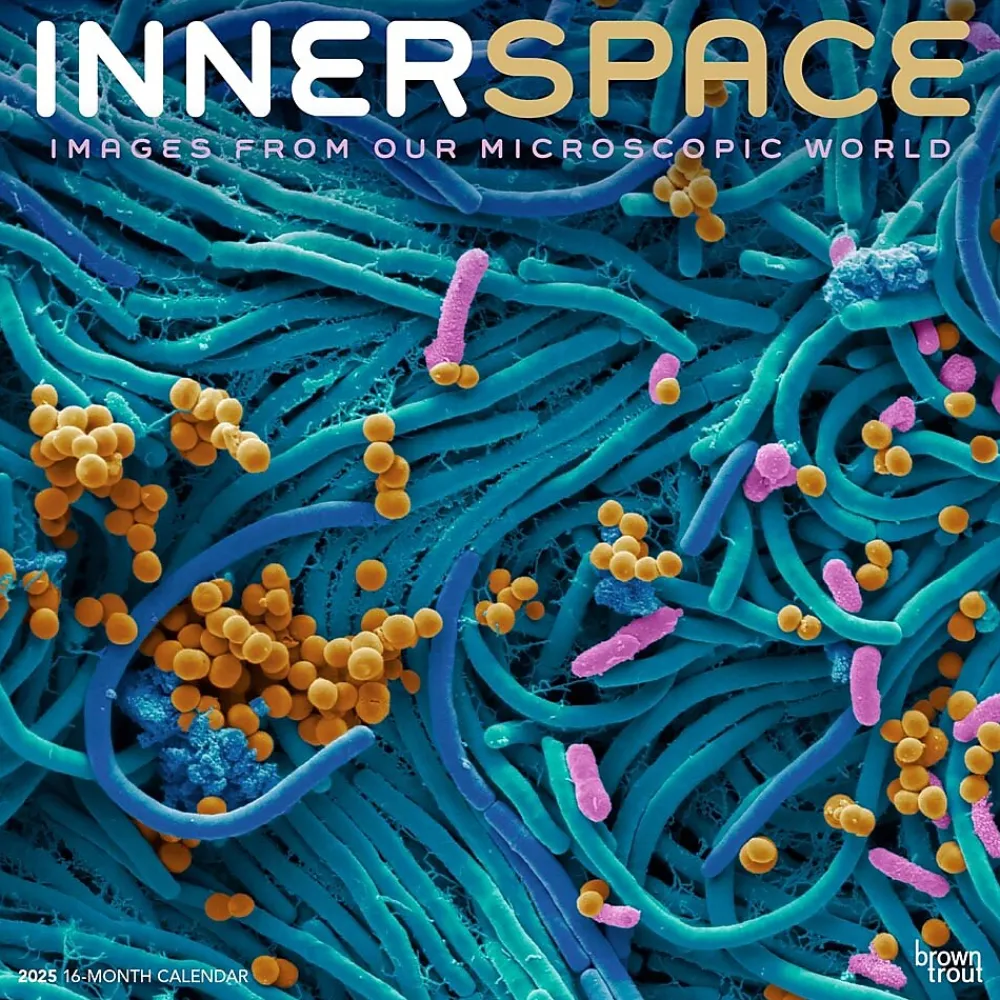 2025 Calendars|BrownTrout 2025 Innerspace 12" x 12" Monthly Square Wall Calendar (9781975481438)