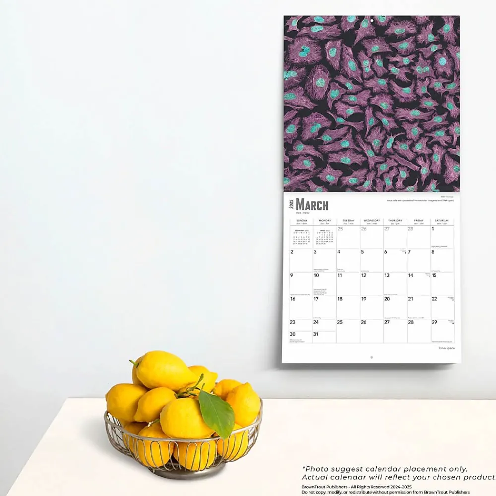 2025 Calendars|BrownTrout 2025 Innerspace 12" x 12" Monthly Square Wall Calendar (9781975481438)