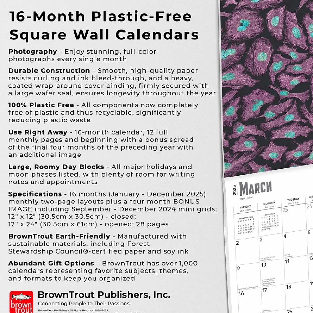 2025 Calendars|BrownTrout 2025 Innerspace 12" x 12" Monthly Square Wall Calendar (9781975481438)