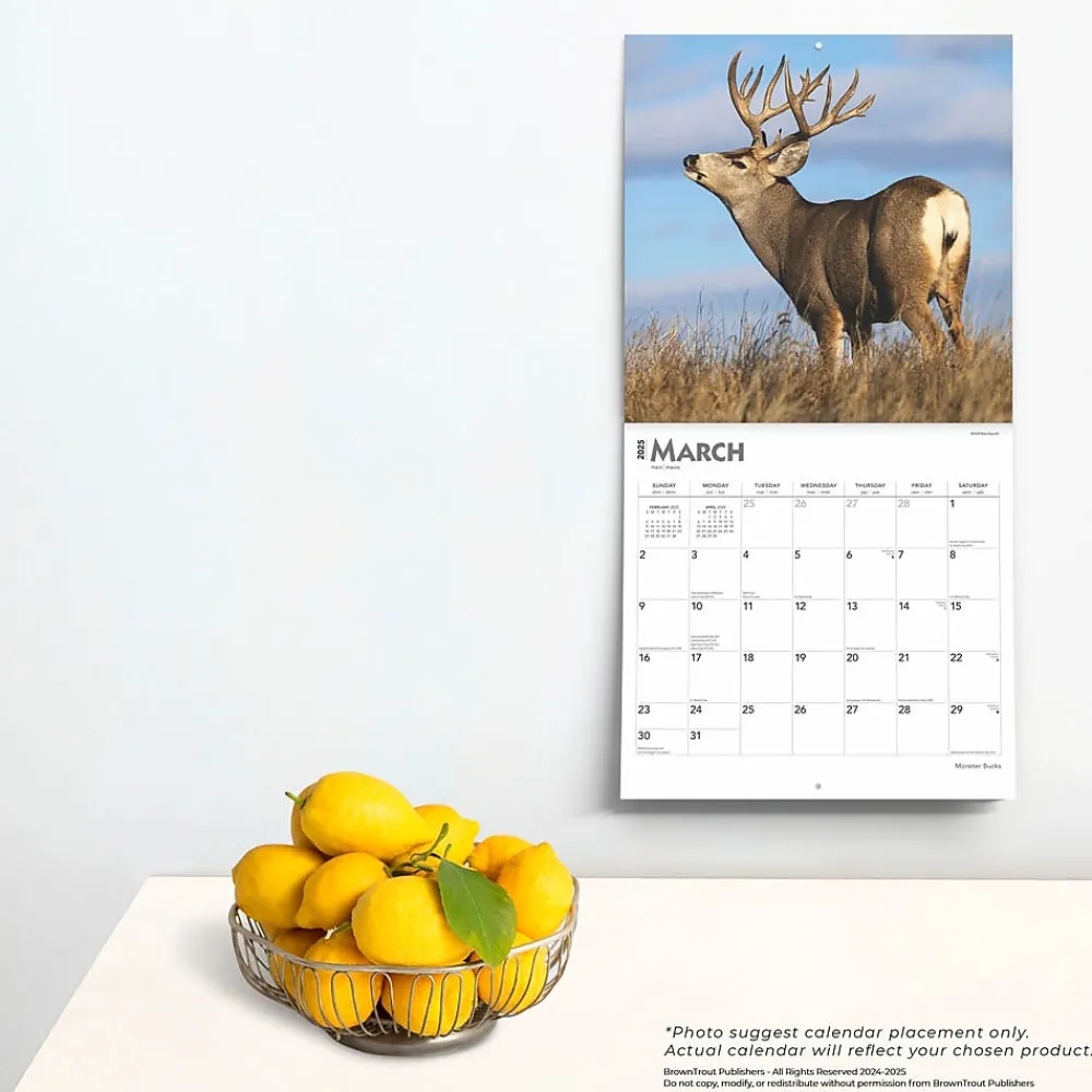 2025 Calendars|BrownTrout 2025 Monster Bucks 12" x 24" Monthly Square Wall Calendar (9781975477448)