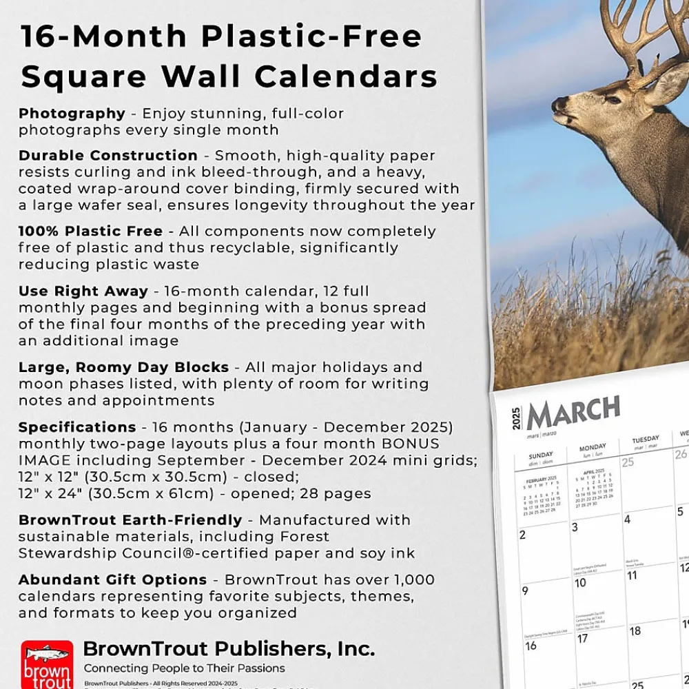 2025 Calendars|BrownTrout 2025 Monster Bucks 12" x 24" Monthly Square Wall Calendar (9781975477448)
