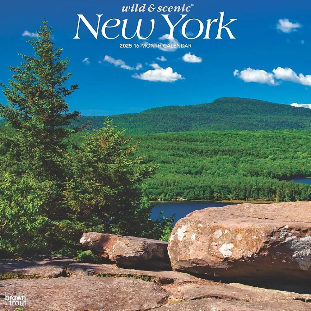 2025 Calendars|BrownTrout 2025 New York Wild & Scenic 12" x 24" Monthly Square Wall Calendar (9781975475437)