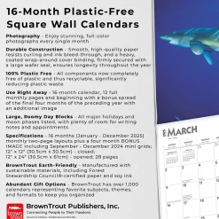 2025 Calendars|BrownTrout 2025 Sharks 12