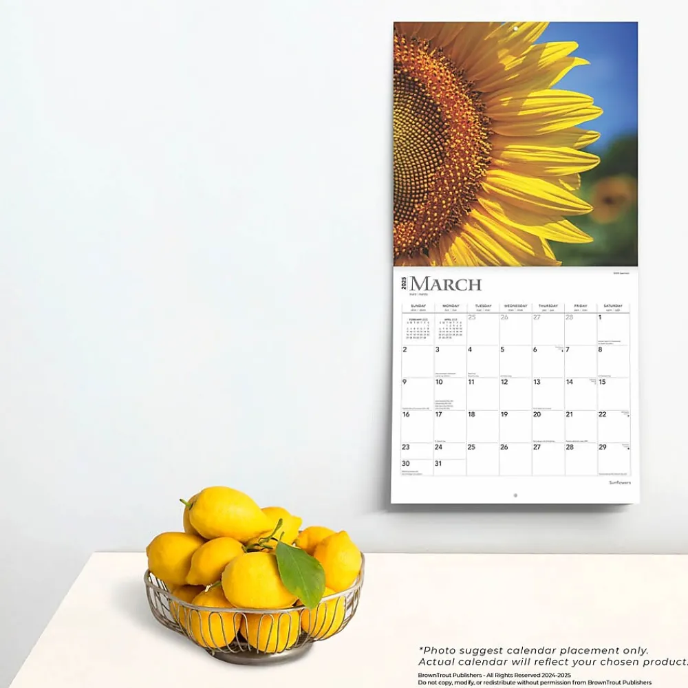 2025 Calendars|BrownTrout 2025 Sunflowers 12" x 12" Monthly Square Wall Calendar (9781975477837)