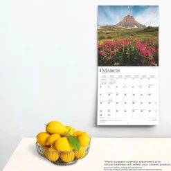 2025 Calendars|BrownTrout 2025 Tranquility 12
