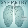 2025 Calendars|BrownTrout 2025 Brush Dance Symmetry 12" x 12" Monthly Wall Calendar (9781975481445)