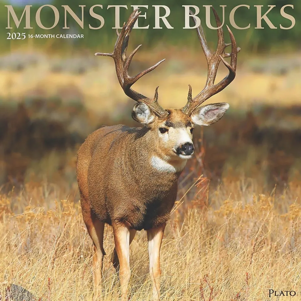 2025 Calendars|BrownTrout 2025 Plato Monster Bucks 12" x 24" Monthly Square Wall Calendar, (9781975480769)