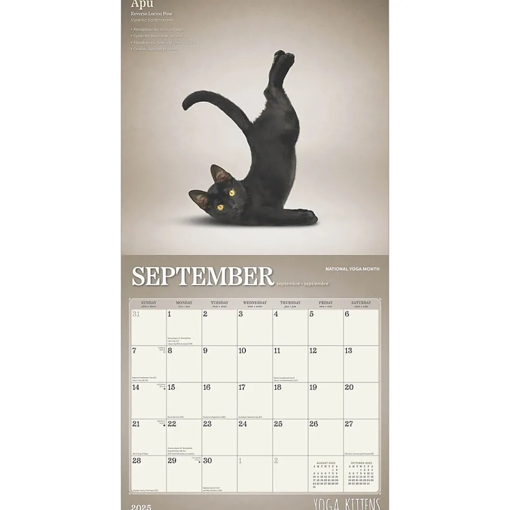 2025 Calendars|Plato 2025 Yoga Kittens 12" x 12" Monthly Wall Calendar (9781975480134)