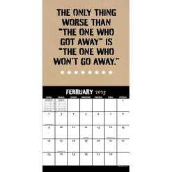2025 Calendars|TF Publishing 2025 Anti-Affirmations & Sarcasm 7